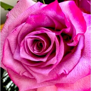 LIVE SHOW COMING SOON!